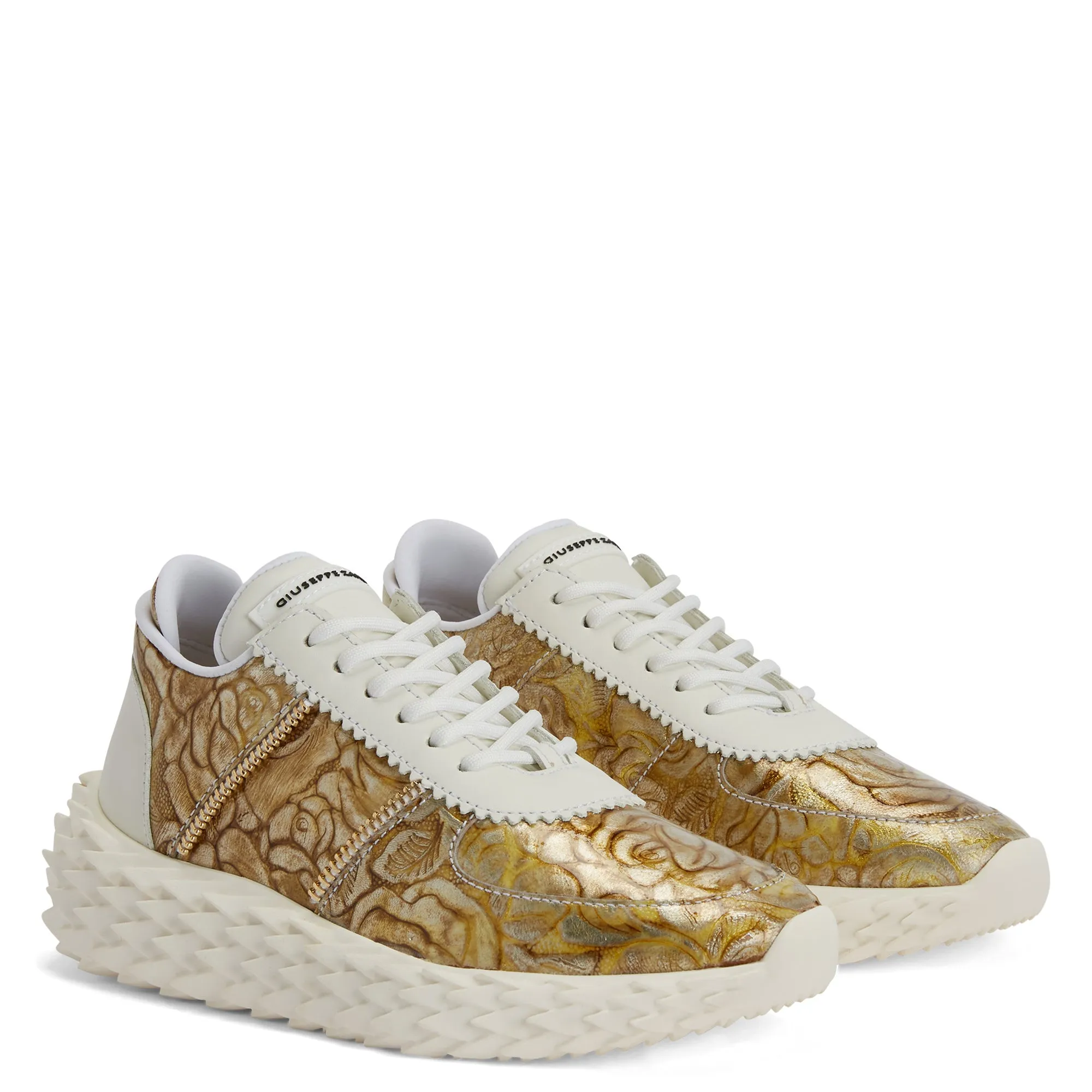 Giuseppe Zanotti Urchin